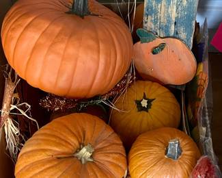 FALL PUMPKINS