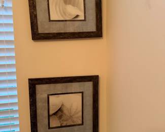 Photos