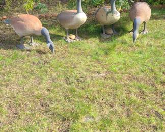 4 foam Canada goose garden statue or hunting decoy standing on a grassy lawn.