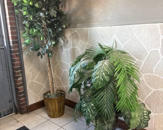 Plants