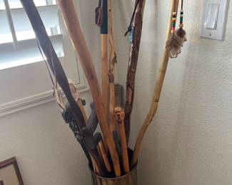 WALKING STICK COLLECTION
