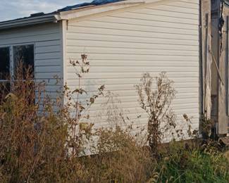 October 25th Picker sale
