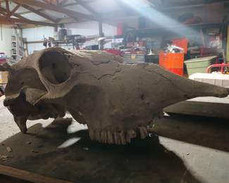 October 25th Picker sale