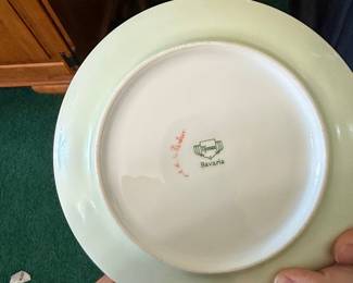 Antique Thomas Bavaria Hand-Painted Floral Porcelain Plates