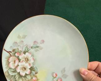Thomas Bavaria Porcelain Plates with Hand-Painted Floral Motifs