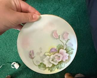 Thomas Bavaria Hand-Painted Floral Plate