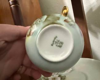Antique Bavaria Hand-Painted Dogwood Floral Cup and Saucer