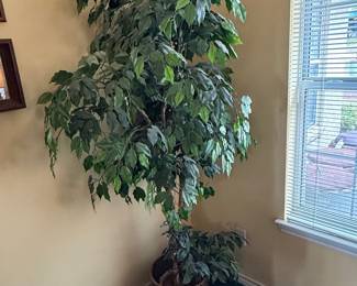 Large Artificial Ficus Tree in Woven Basket