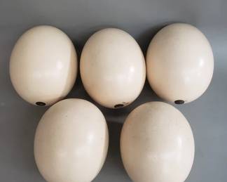 838  Lot 452  Five ceramic faux ostrich eggs