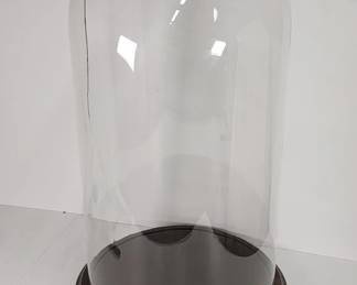 459  Lot 427h  Vintage enormous glass dome USA made Bards