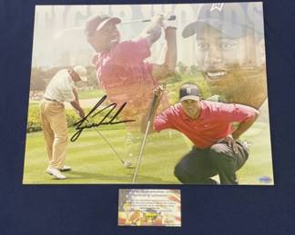 573  Lot 340h  Tiger Woods autographed photo