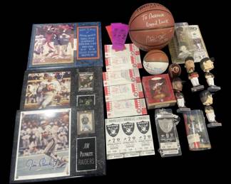 273  Lot 486h  Large lot of sports Items