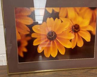 Framed flower photo