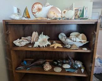 SW235Under The Sea