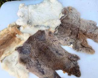 SW321Rabbit Pelts