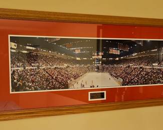 Red Wings Arena Panoramic Print