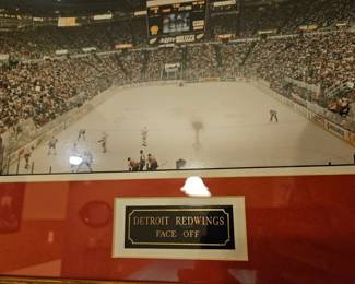 Red Wings Arena Panoramic Print second image