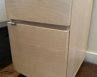 Filing Cabinet On Wheels Lot #: 95