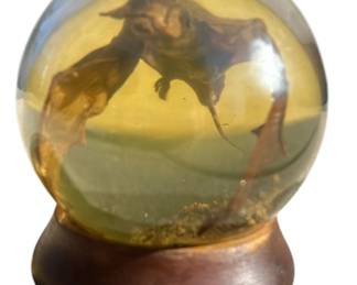 Taxidermy Bat in Crystal Ball Globe