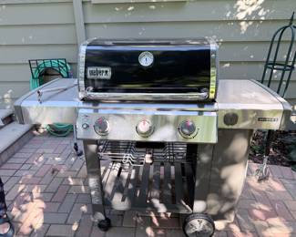 Weber Genesis II gas grill