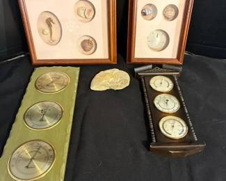 Seashell Shadow Boxes, Barometers Fossil