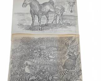 Signed Folk Art Pencil Drawings of Horse Raccoons