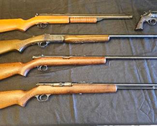 Firearm Selection