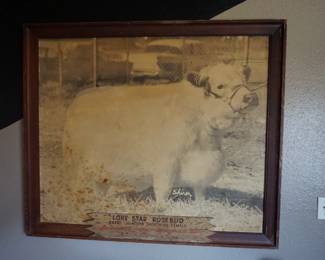 large vintage 1950's, "Lone Star Rosebud" lithograph
