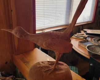 Road runner