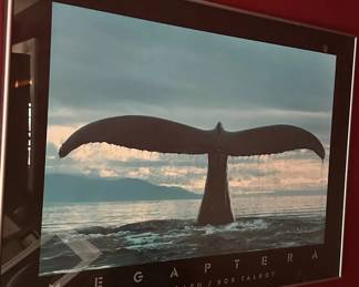 Lot 19: Framed Whale Tail Photograph Print