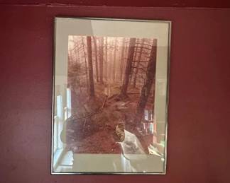 Lot 49: Framed Forest Landscape Print