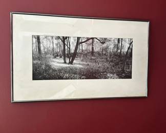 Lot 30: Framed panoramic black and white landscape print