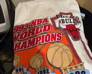 Vintage 1993 Chicago Bulls NBA World Champions T-Shirt