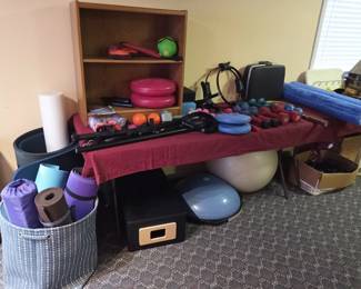 Exercise gear