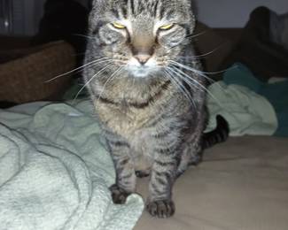This is the face Zoey makes when you don't come to the sale.