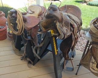 Saddle up doggies!