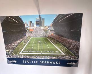 Seahawks picture