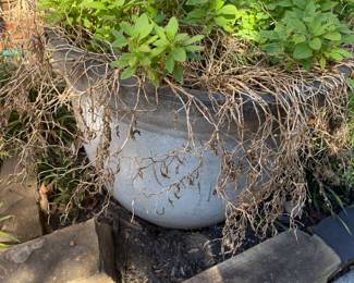 planters