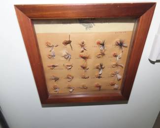Framed fly collection.