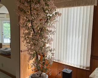 Tall cherry blossom tree in planter pot
