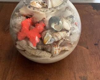 Glass Bowl with Assorted Seashells