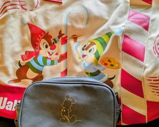Disney Bag