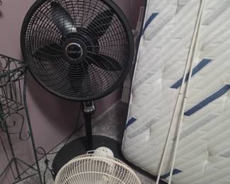 Fans
