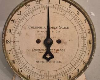 Lot 130: Columbia Family Scale Kitchen Scale