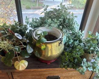 Live And Faux Houseplants