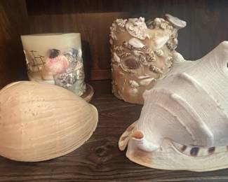 Large Shells And Shell Candles