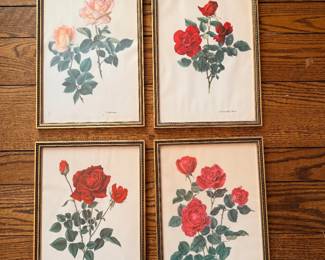 Set of Four Framed Botanical Rose Prints