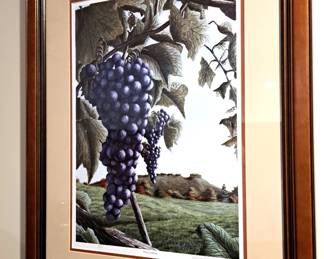  PATRICIA HOBSON GRAPES IN A VINEYARD WINE COUNTRY