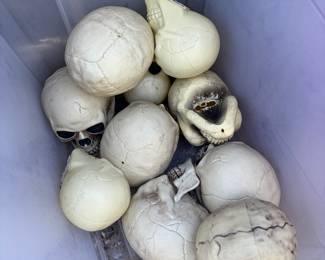 Skulls 