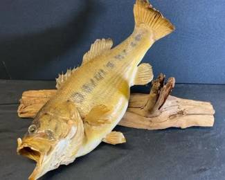 Vintage Fish